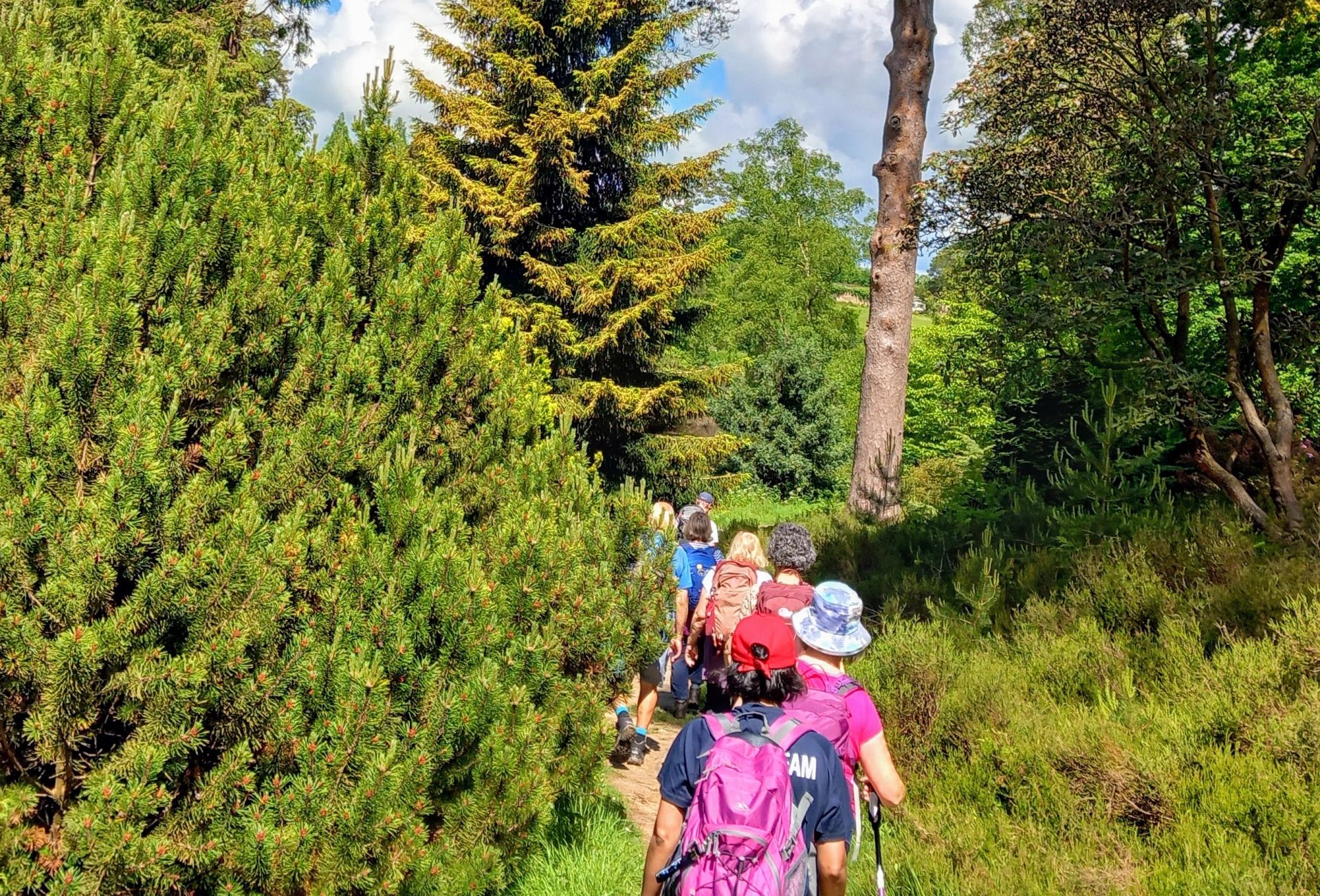 Heading through Bedgebury Forest on group walk May 2024